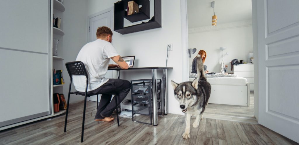 House Sitting Couple with a Good Boy