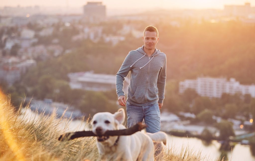 Housesitting with a dog outside the city center