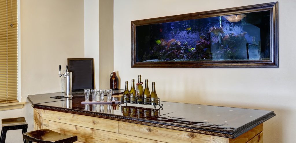 Fish aquariums require maintenance that a housesitter can manage