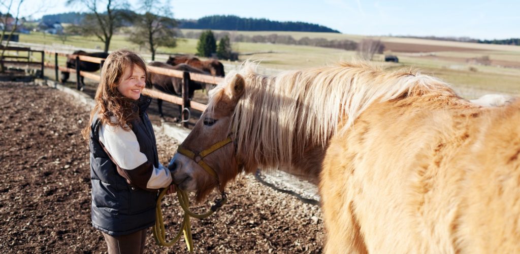 Teenager, experienced with horses, leading a haflinger palomino horse through the paddock, while her family house sits this property.