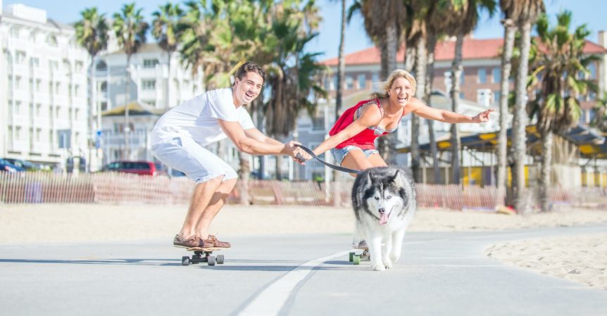 A housesitting couple taking a Siberian Husky out for a ride on the boardwalk in Santa Monica, CA