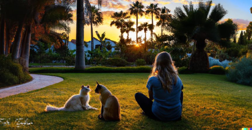 A housesitter with two pets at sunset.